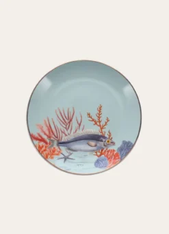 COFFRET 4 ASSIETTES BLEU MULTICOLORE