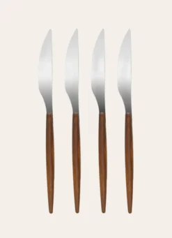 COFFRET DE 4 COUTEAUX ARGENTÉ & BOIS