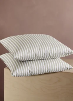 LOT DE 2 OREILLERS CARRÉS EN PLUMETTES BLANC