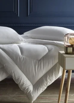 OREILLER MOELLEUX EN PERCALE DE COTON BLANC