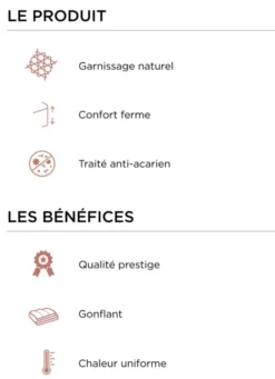 OREILLER RECTANGULAIRE NATUREL FERME ANTI-ACARIENS BLANC